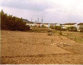 Kiesacker 1 (1).jpg